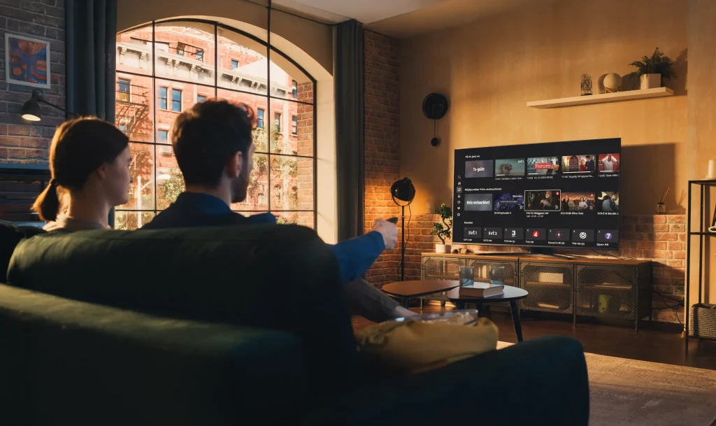 Danmark TV